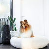 Premium Classic Cuddler Dog Bed