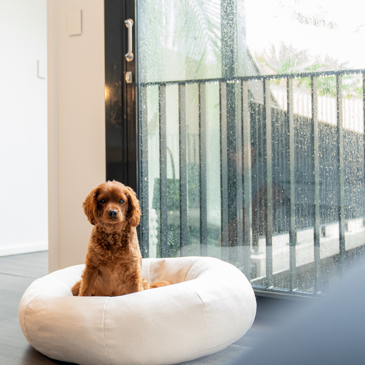 Premium Classic Cuddler Dog Bed