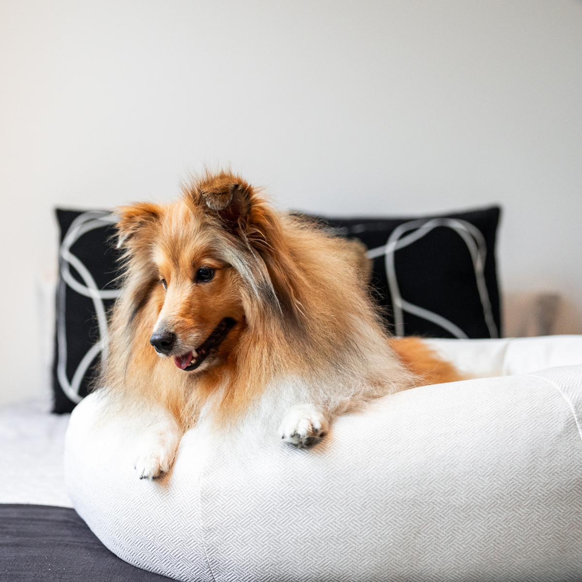 Premium Classic Cuddler Dog Bed