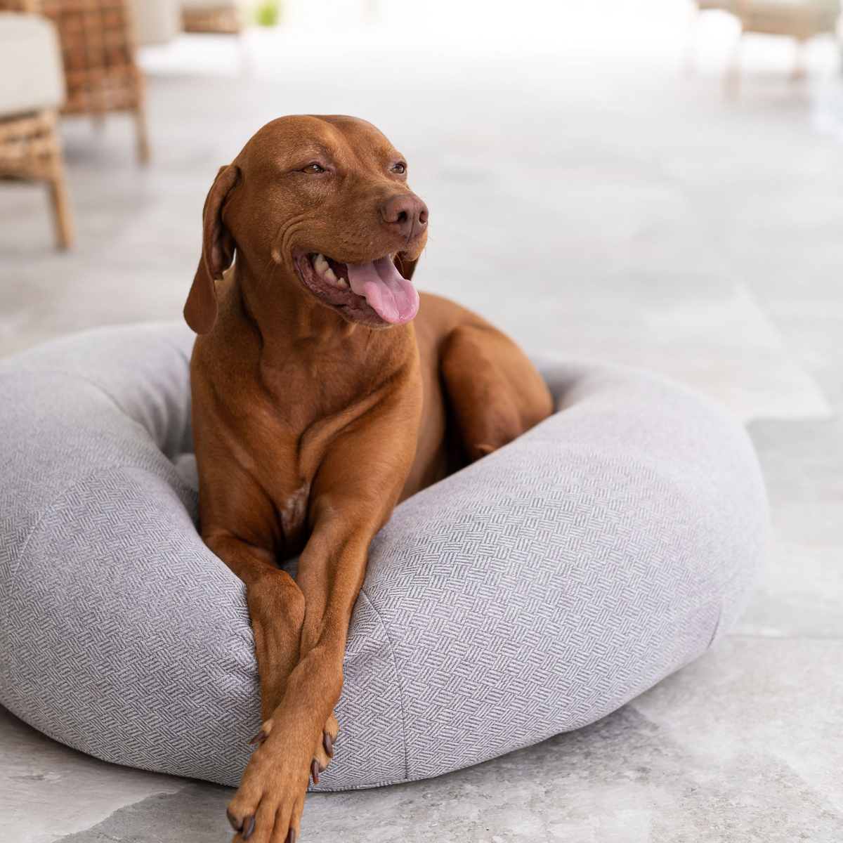 Premium Classic Cuddler Dog Bed