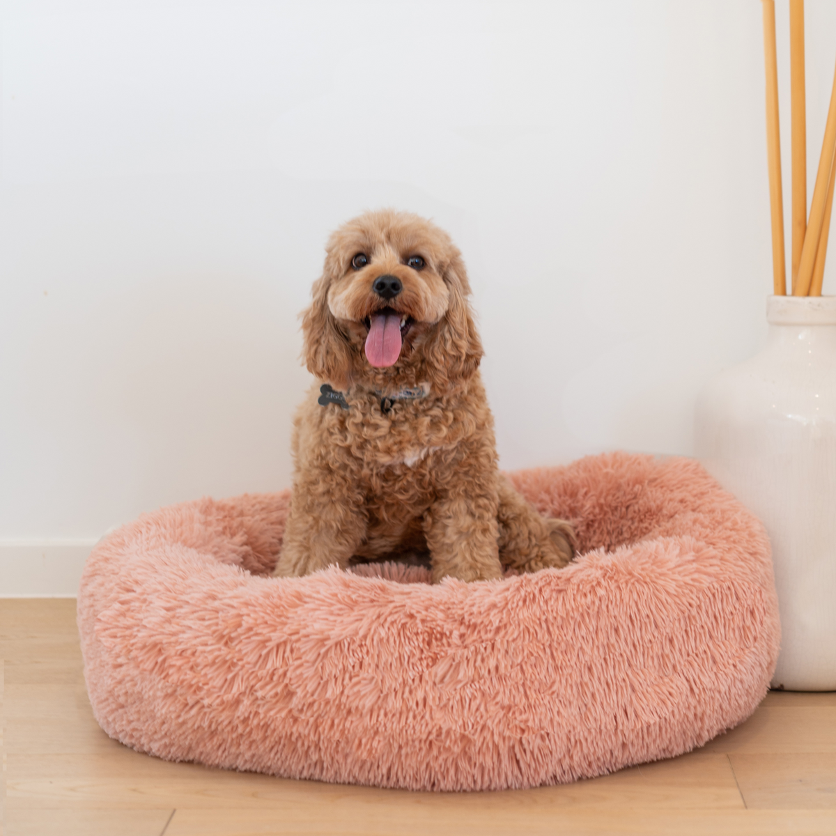 Calming Dog Bed