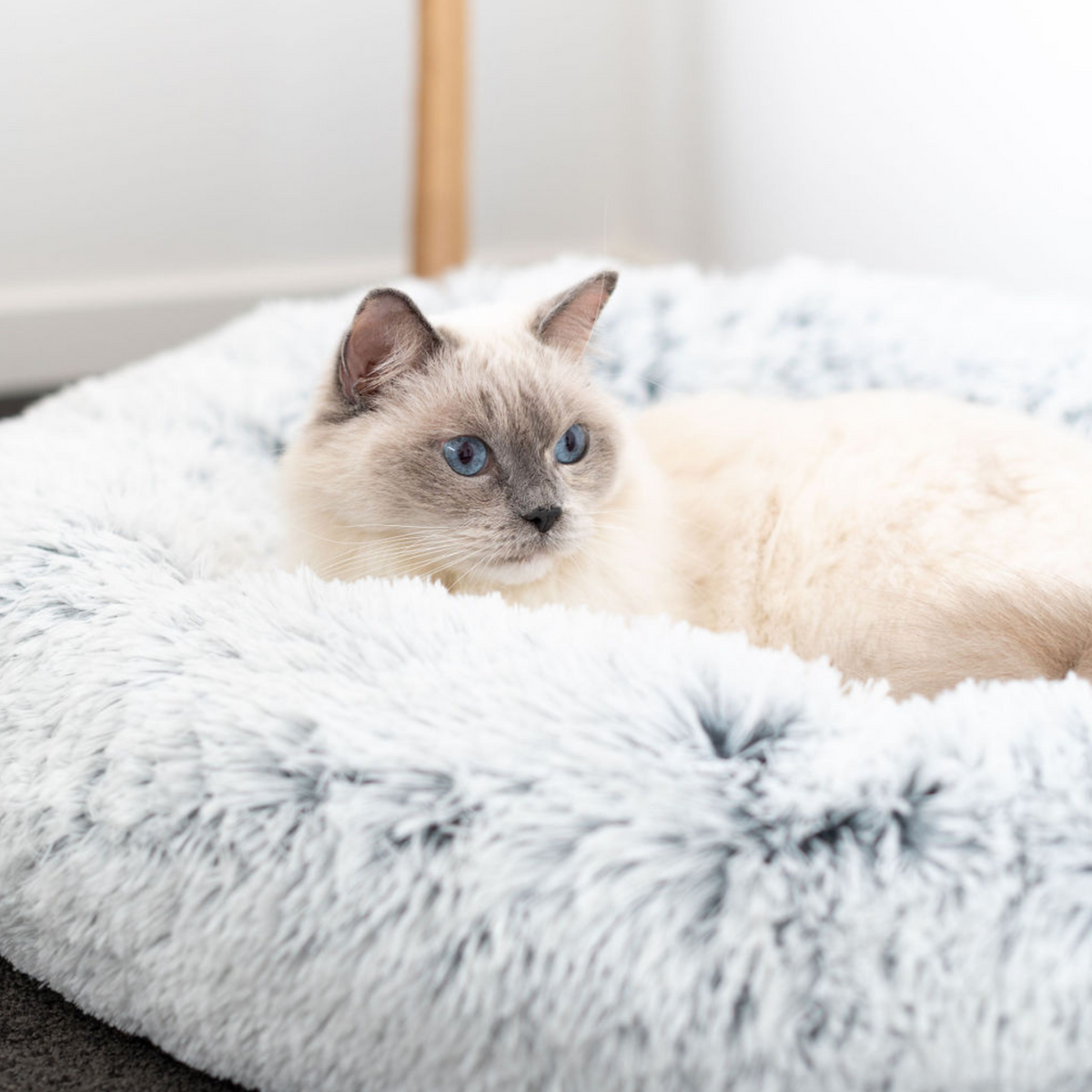 Calming Cat Bed