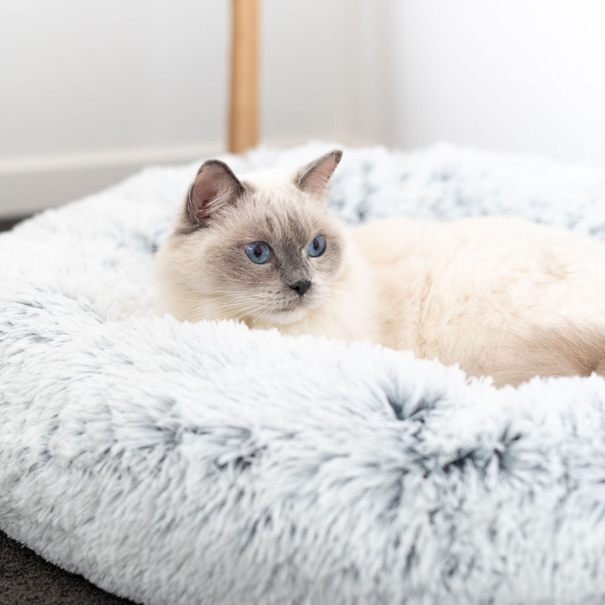 Calming Cat Bed Spare Cover