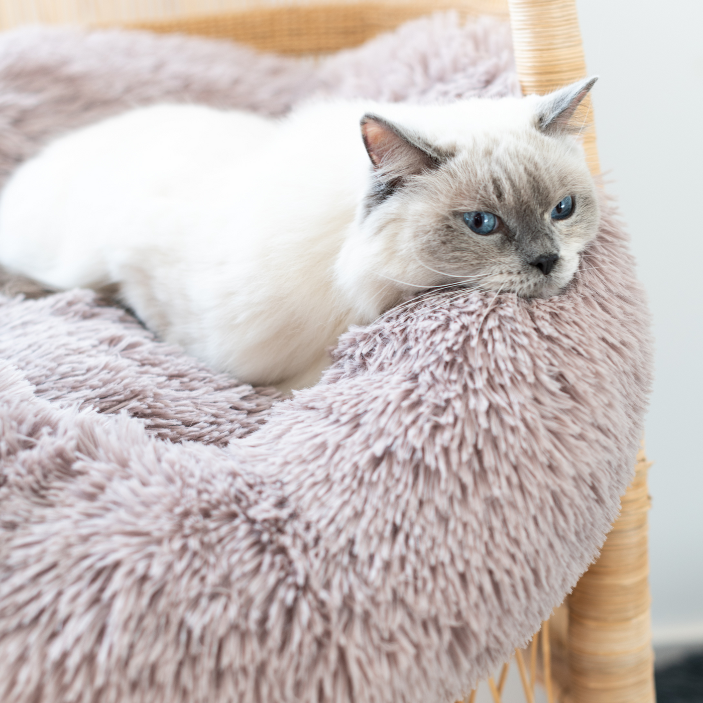 Calming Cat Bed Furlore