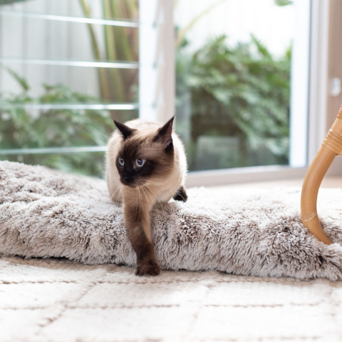 Calming Cat Mat