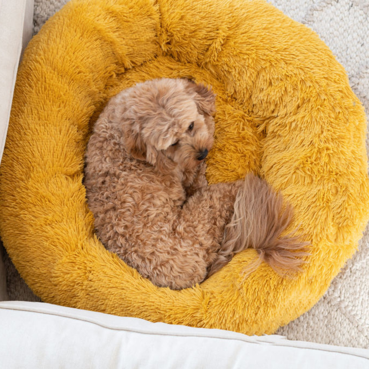 Calming Dog Bed