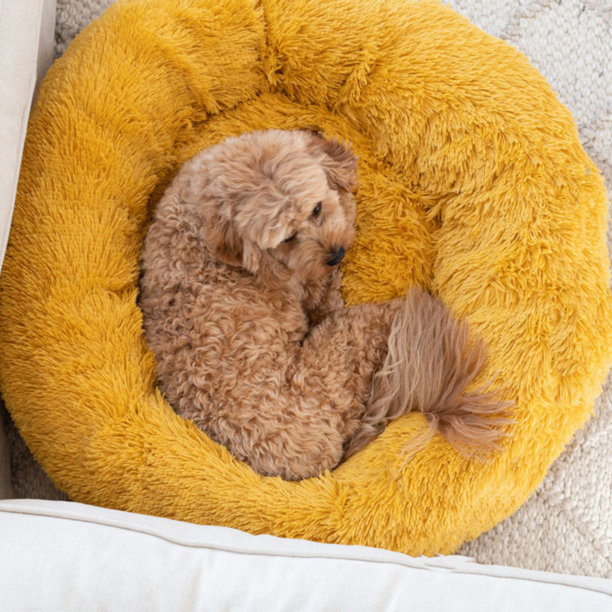 Calming Dog Bed Spare Cover