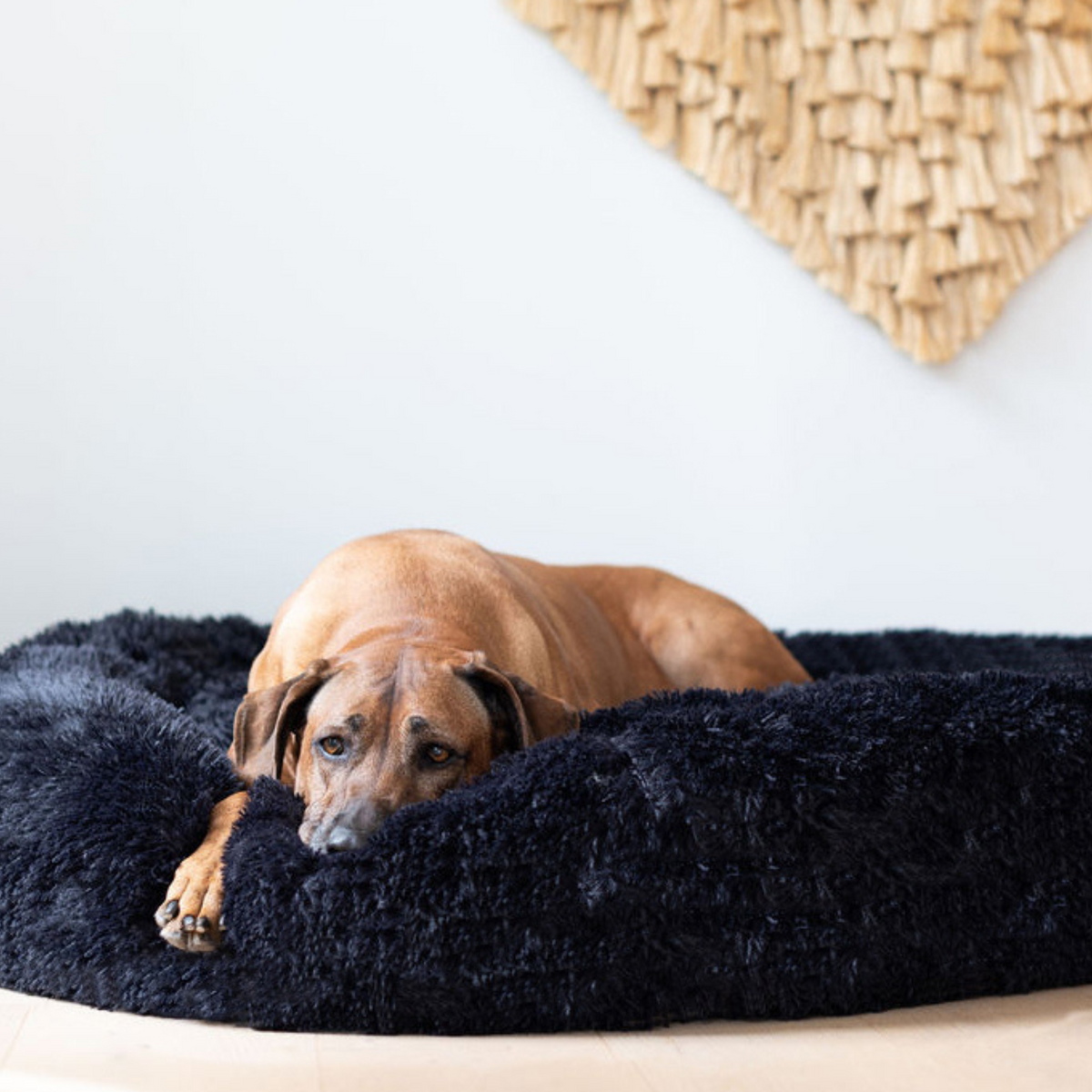 Calming Dog Bed Spare Cover
