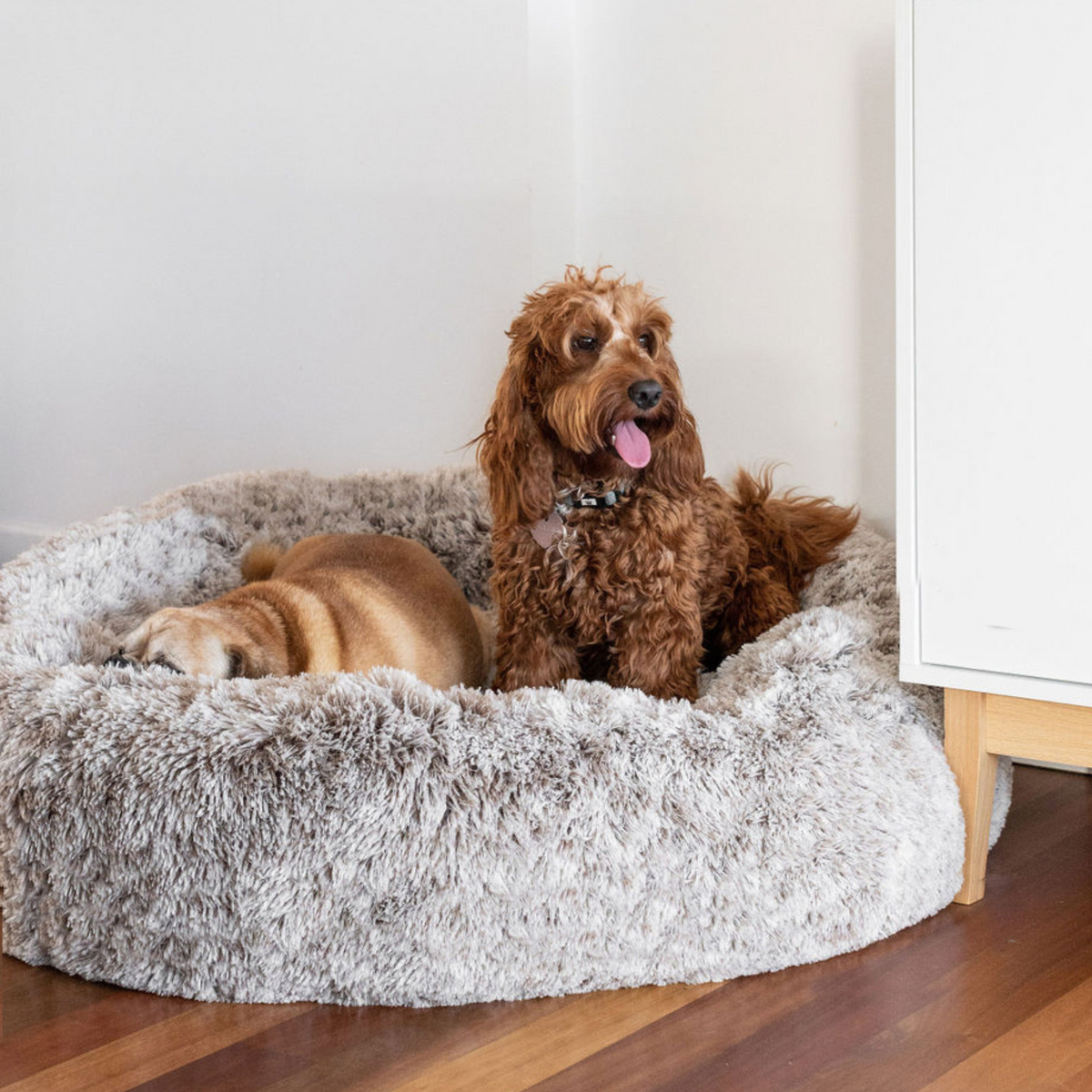 Calming Dog Bed