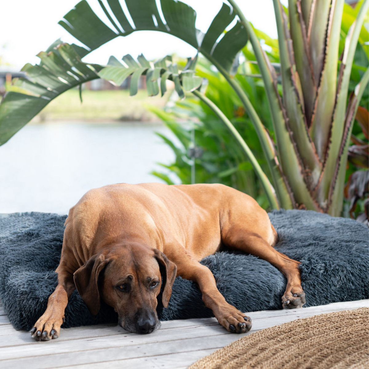 Calming Dog Mat Spare Cover