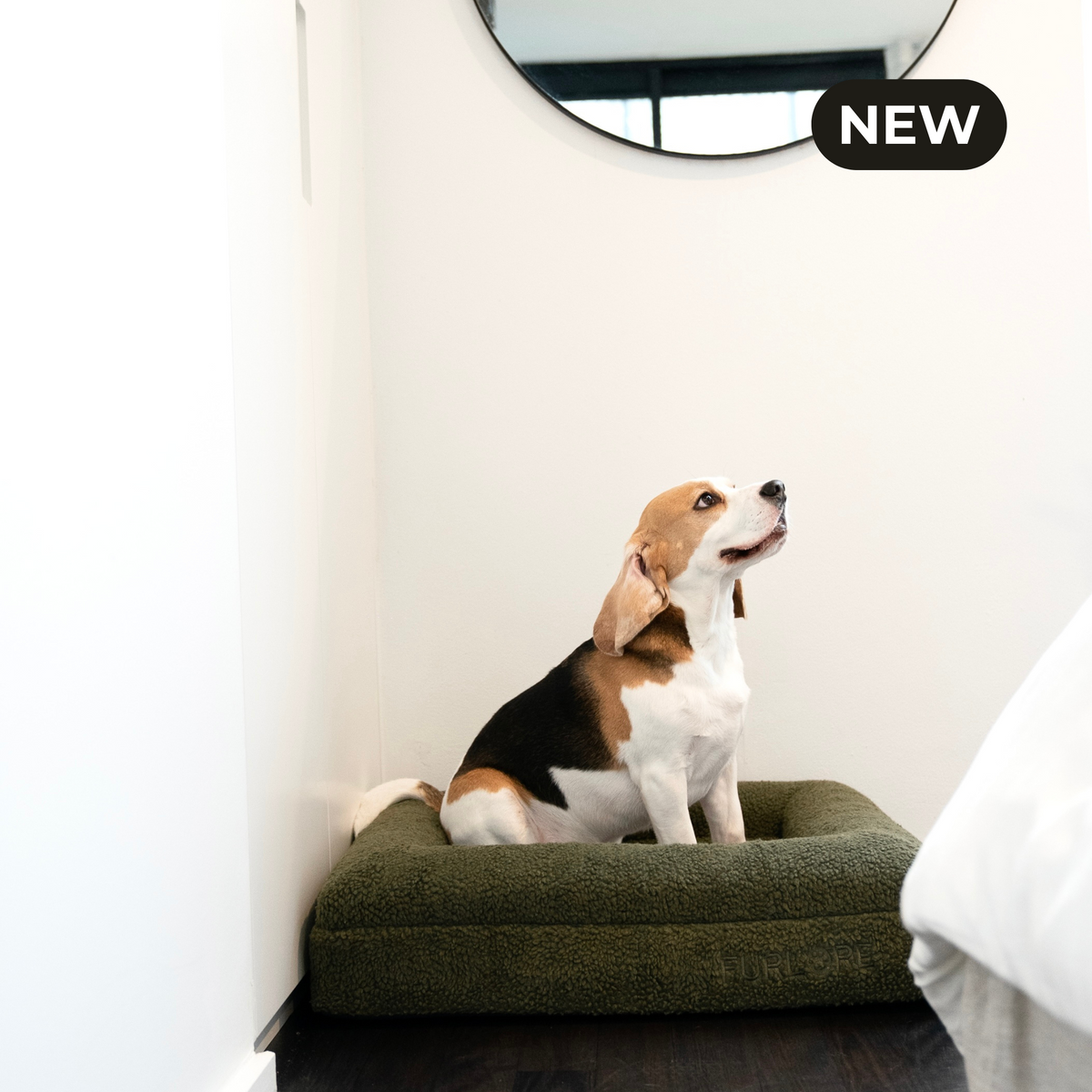Premium Orthopaedic Memory Foam Bed in Deluxe Teddy