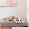 Premium Orthopaedic Memory Foam Dog Bed + Spare Cover Bundle