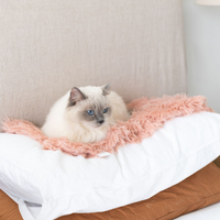 Calming cat blanket cheap