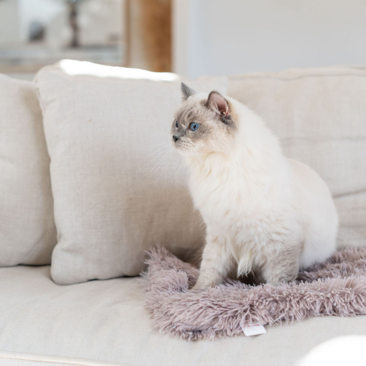 Calming Cat Blanket