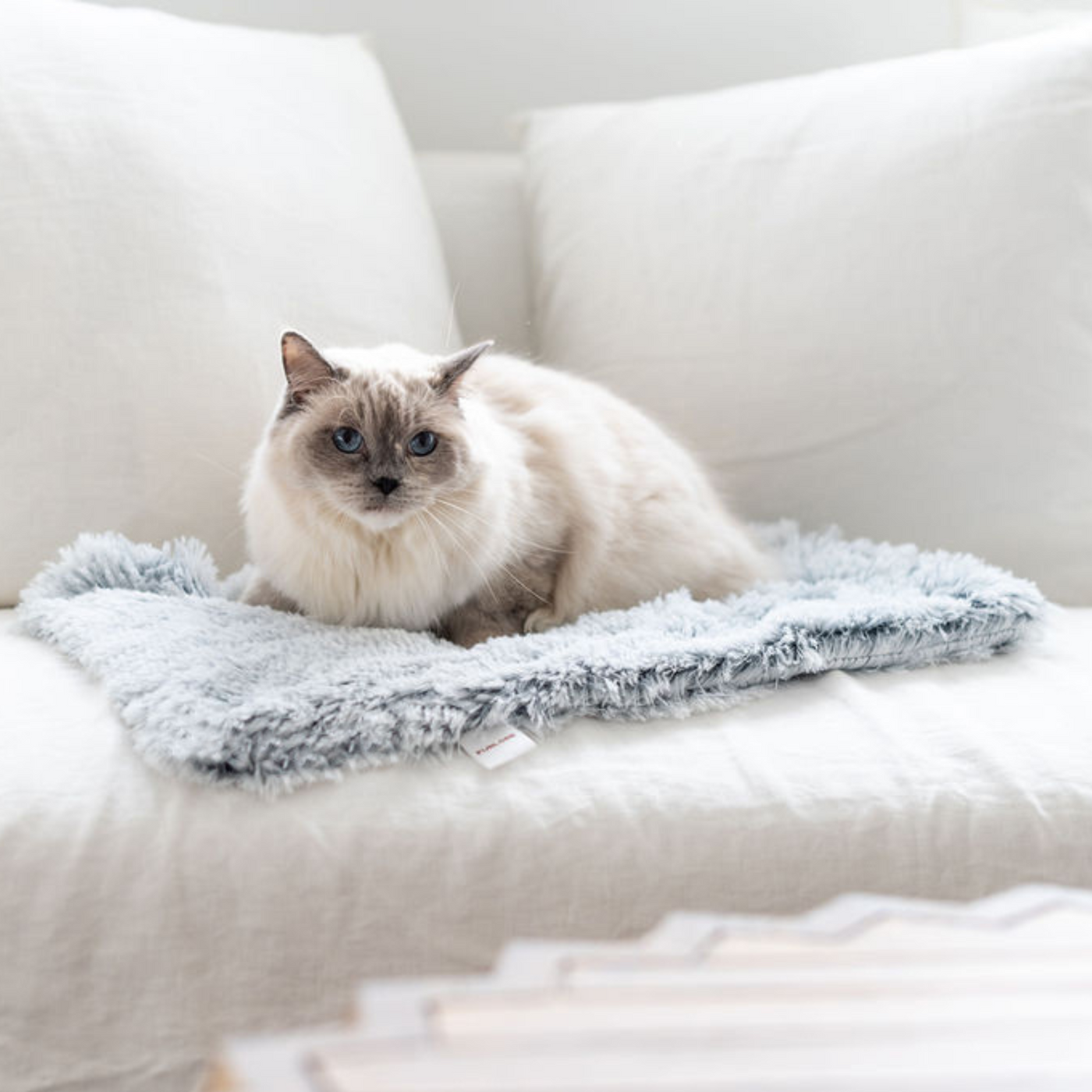 Cat calming shop blanket