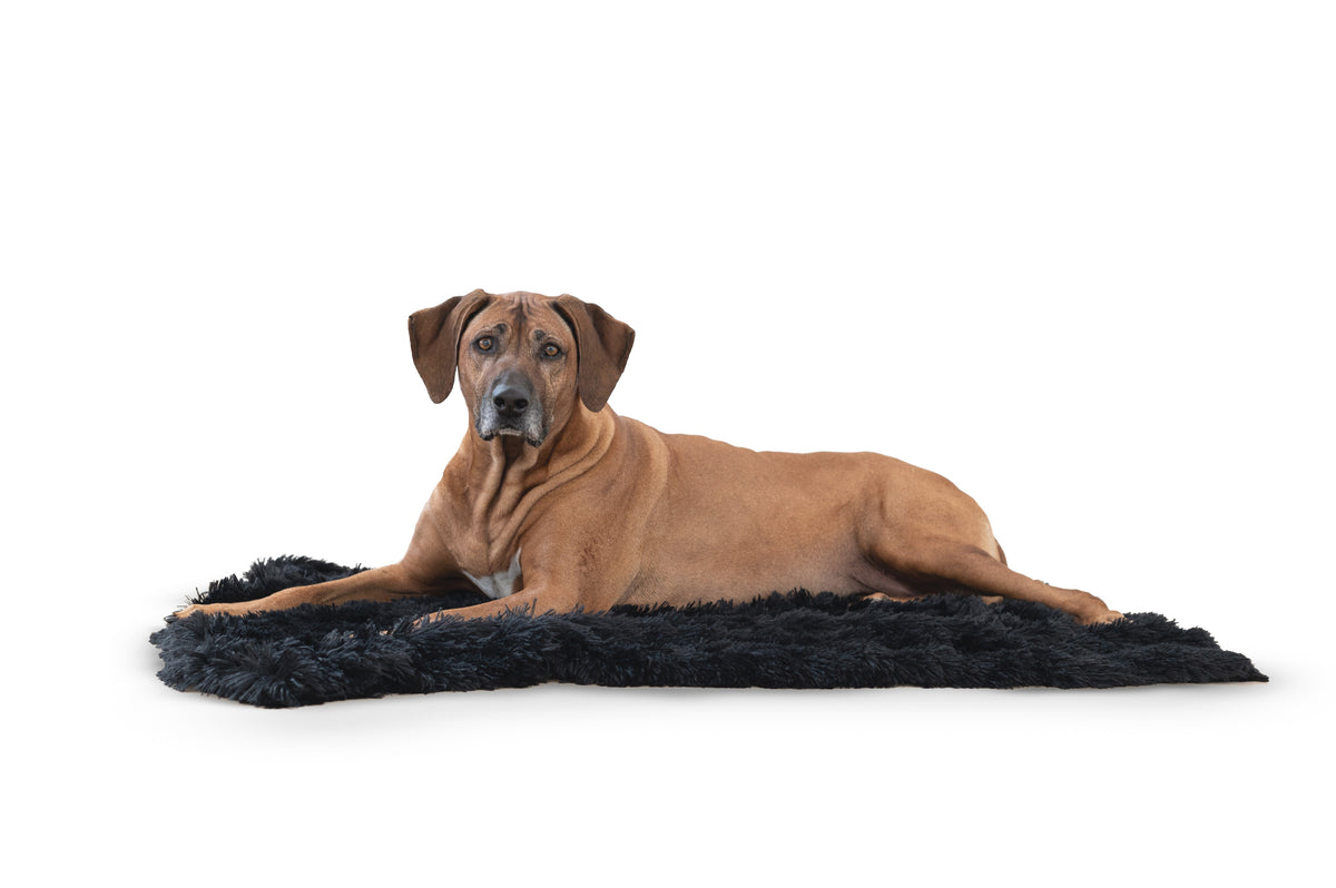 Calming Dog Blanket